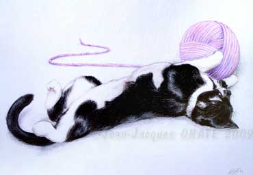 Portrait de Minie, chat noir et blanc dessine au crayon de couleur.